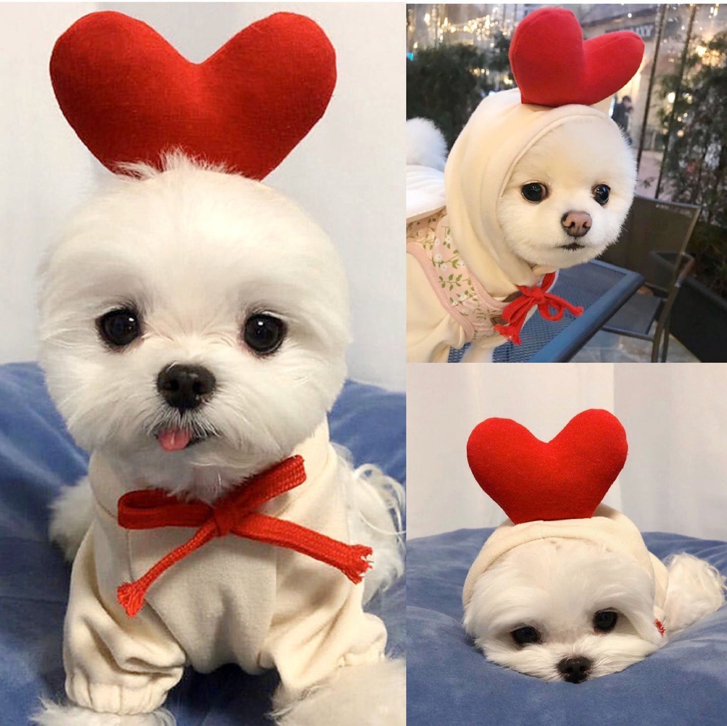 Dog Clothes For Small Dogs Hoodies Winter Warm Fleece Pet Clothing Costumes
