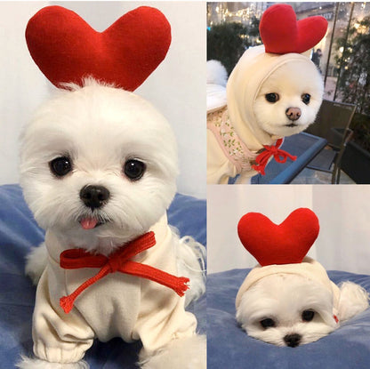 Dog Clothes For Small Dogs Hoodies Winter Warm Fleece Pet Clothing Costumes