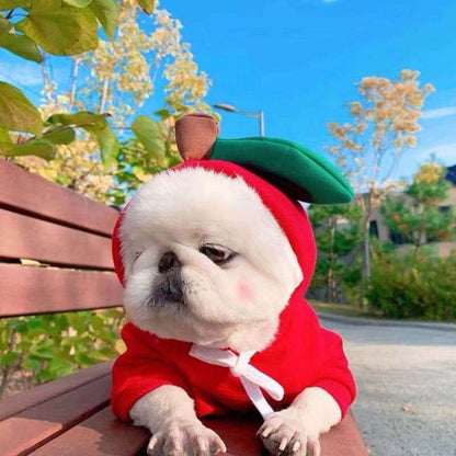 Dog Clothes For Small Dogs Hoodies Winter Warm Fleece Pet Clothing Costumes