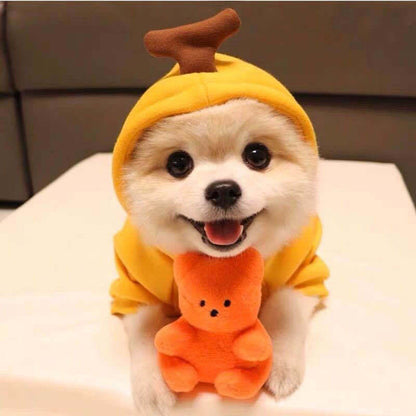 Dog Clothes For Small Dogs Hoodies Winter Warm Fleece Pet Clothing Costumes