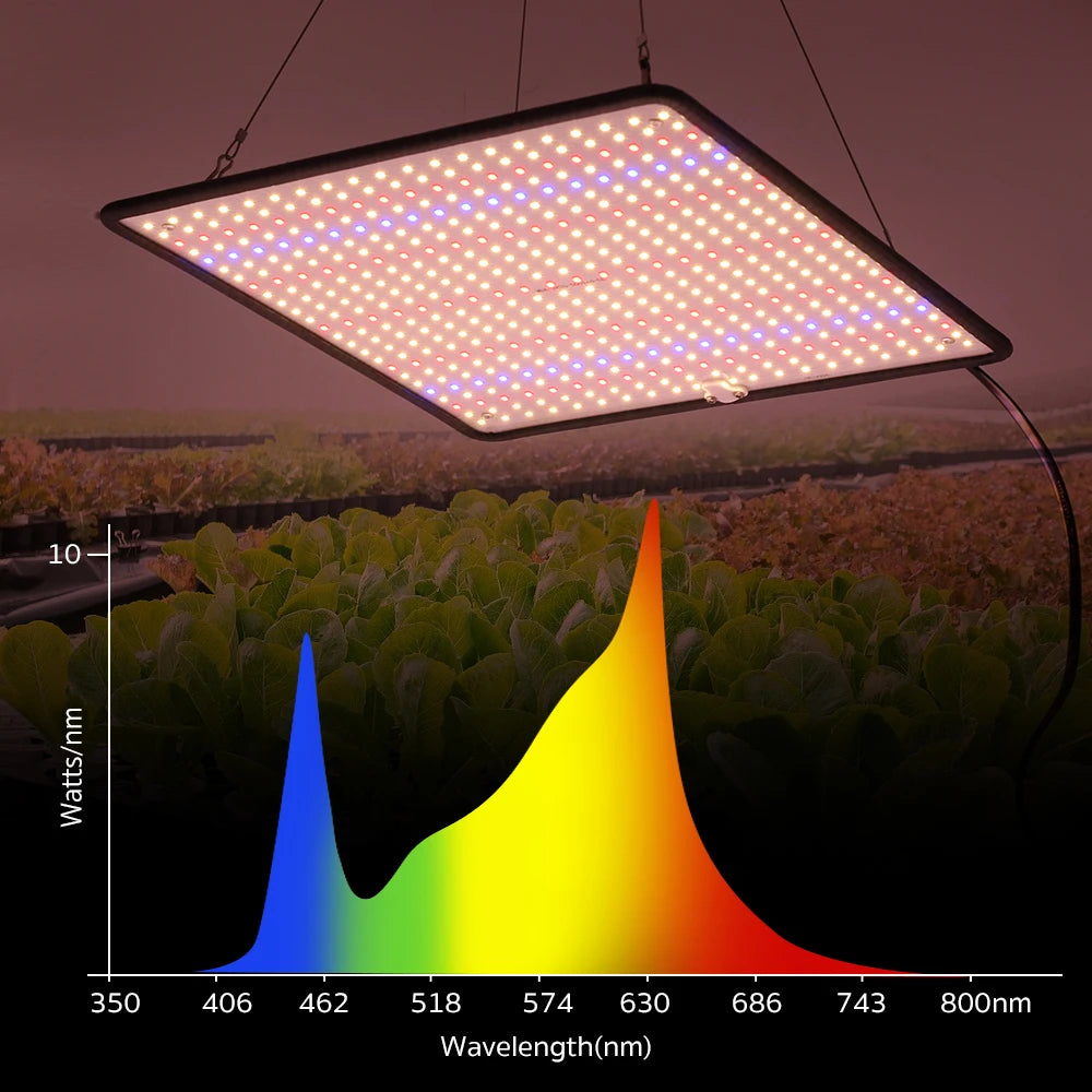 LED Grow Light Full Spectrum Phyto Lamp AC85-240V 40W  For Indoor Grow Tent Plants